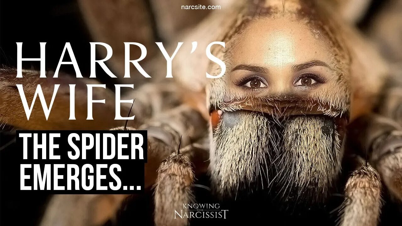 The Spider Emerges (Meghan Markle)
