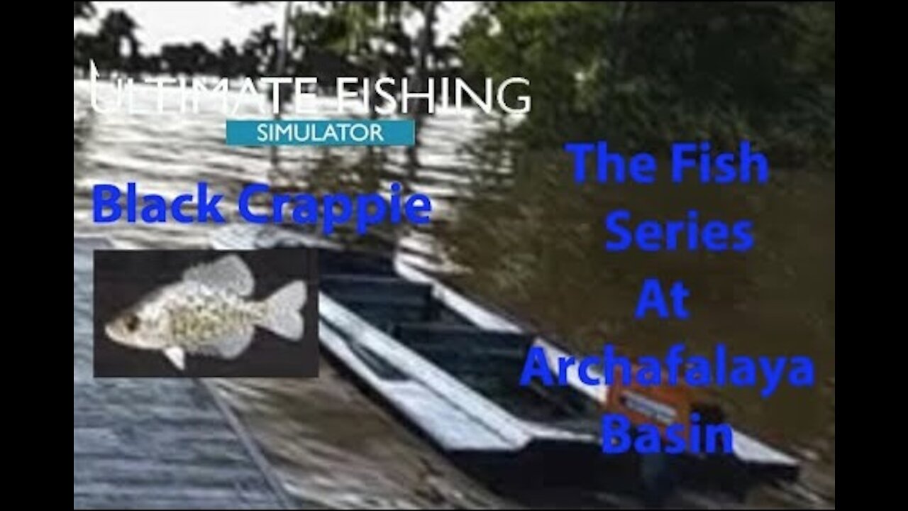 Ultimate Fishing Simulator: The Fish - Archafalaya Basin - Black Crappie - [00029]