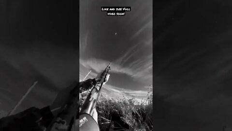 THEY"RE COMING RIGHT FOR US! 🦆🎯🎯 #shorts #duckhunting