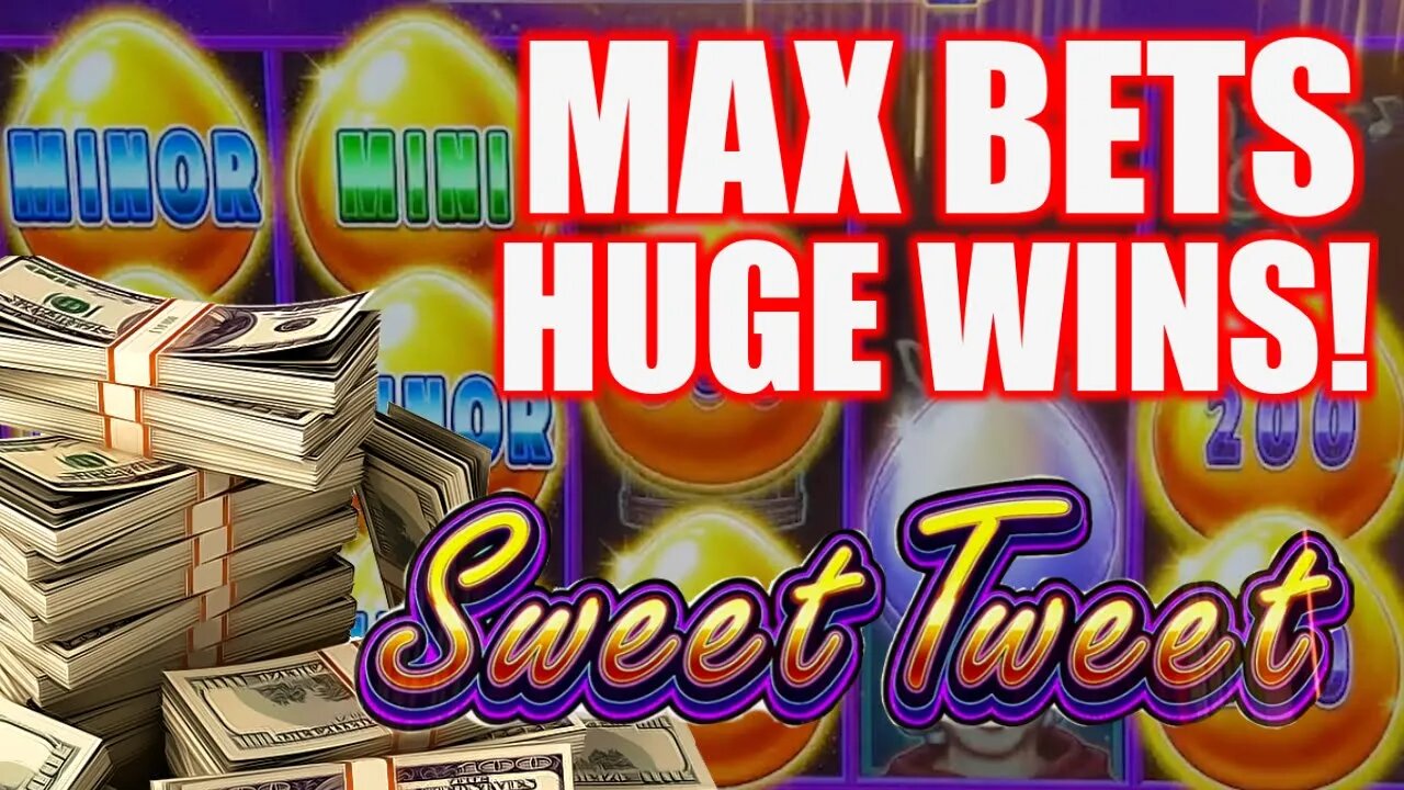 MAX BETTING AND HITTING JACKPOTS ON SWEET TWEET!