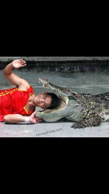 Maut ka khauf, khaufnak manjar, dangerous forest Safari 🐯 maut ka samna