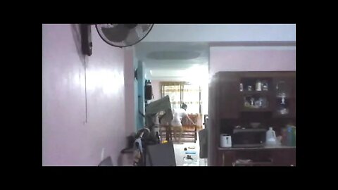 Live Stream : Silent LS