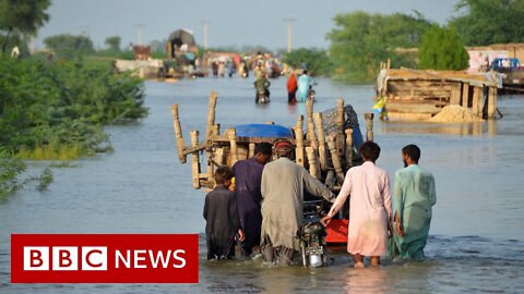 Pakistan floods: Millions of people displaced and more than 1,000 dead - BBC News