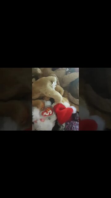 Selling dvds on streetbargainz.com 🤑🤑