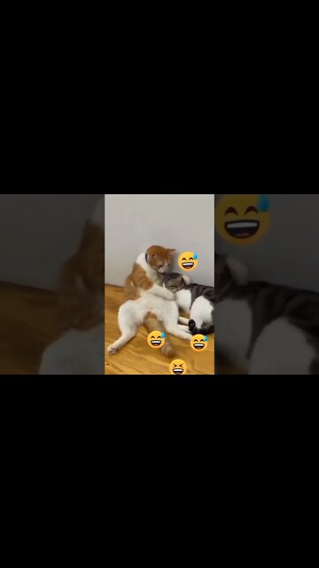 Давай вместе будем скучать 😺❤😺#shorts