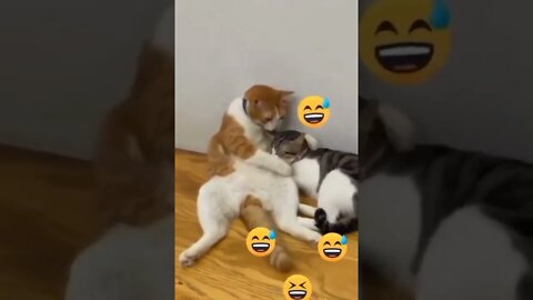 Давай вместе будем скучать 😺❤😺#shorts