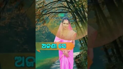 ଓ ସେଇ ବର୍ଷା ସେଇ ରାତି ମାନେ ପଡେ odia song video