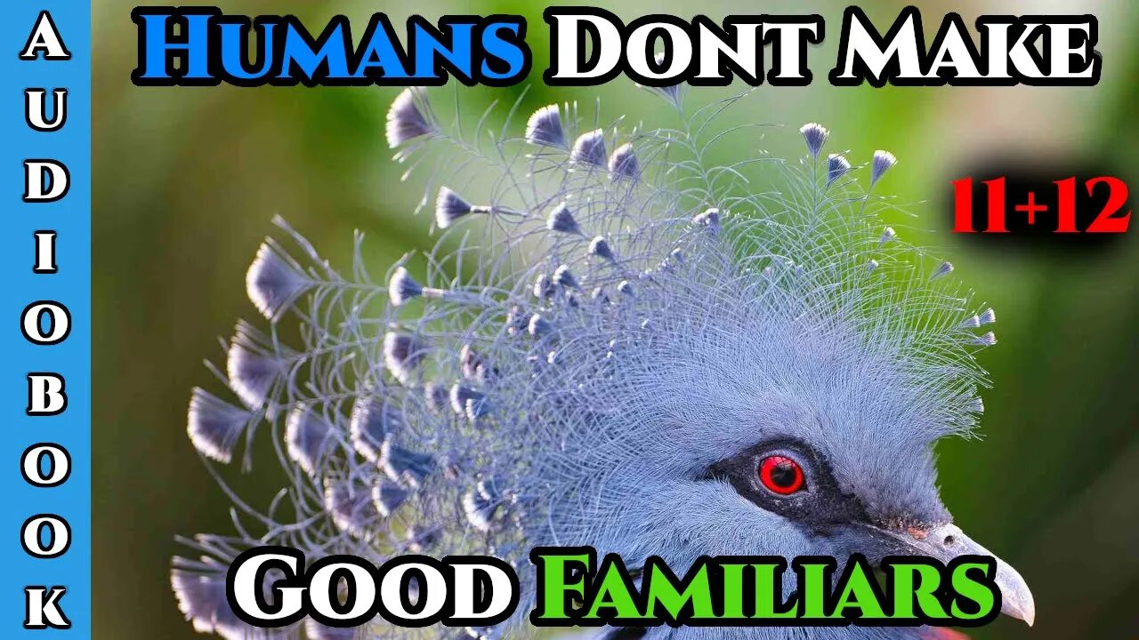 Humans Don't make Good Familiars (Ongoing) - Ch.11+12 | HFY | Fantasy