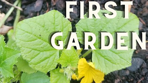 My First Garden Update 2016 I've come a long way