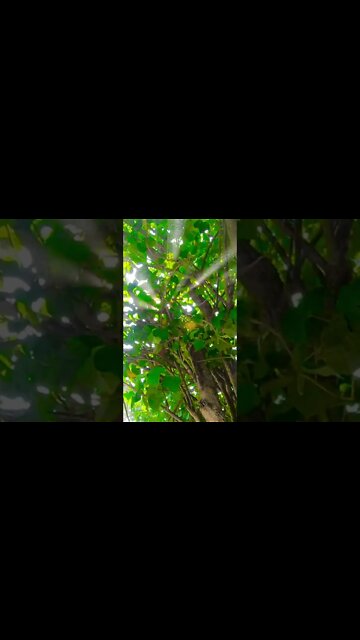 #Shorts #Travel #Vacation #Tourist #Enjoy #Visit #Love #Happiness #Trip #Destination