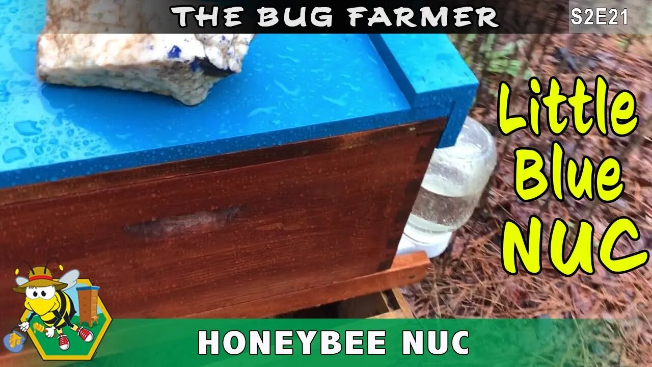 NUC UPDATE - Checking on the Emergency NUC from the Blue Hive.