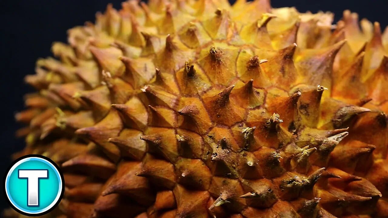 Top 10 Fruits You've Never Heard Of Part 4