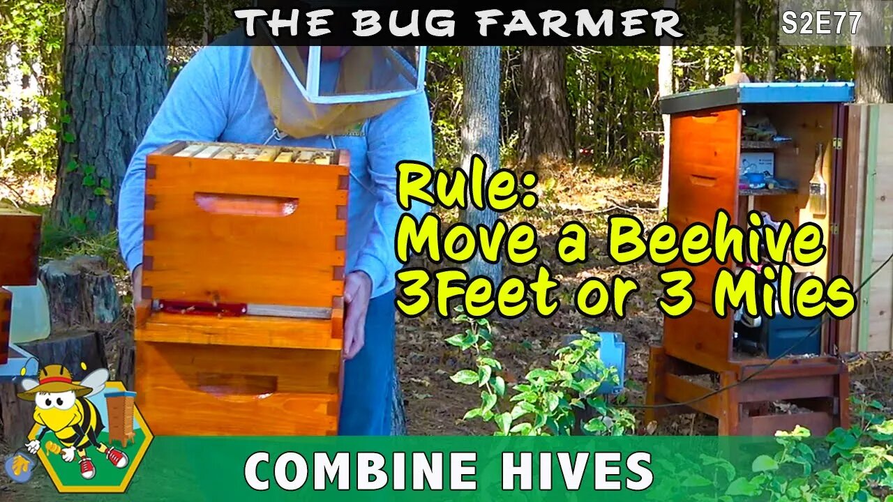 Moving a Beehive 3 feet or 3 miles? - Moving honeybee colony in preparation for winter.