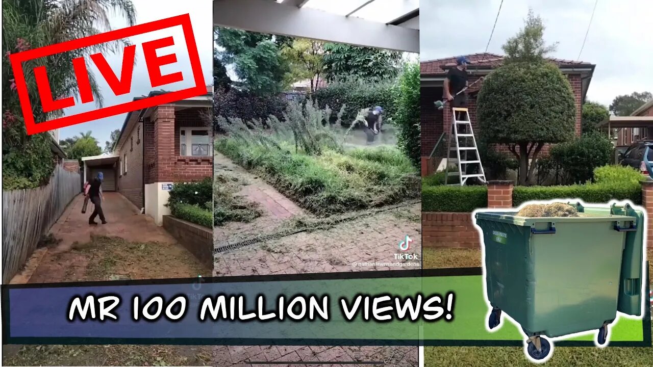 How much money did he make From 100 Million Views Lawn mowing?