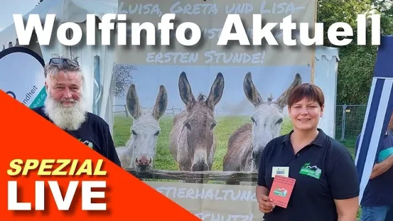 Wolfinfo Aktuell LIVE