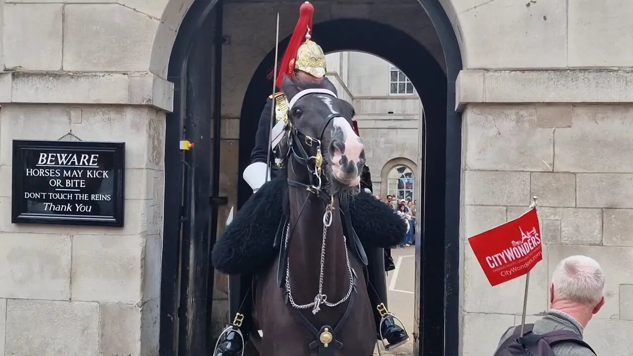 Tourist guide walks in front of kings guards horse during changing of the Guard #horseguardsparade