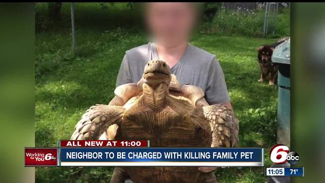 Man charged with criminal mischief in connection with death of pet tortoise