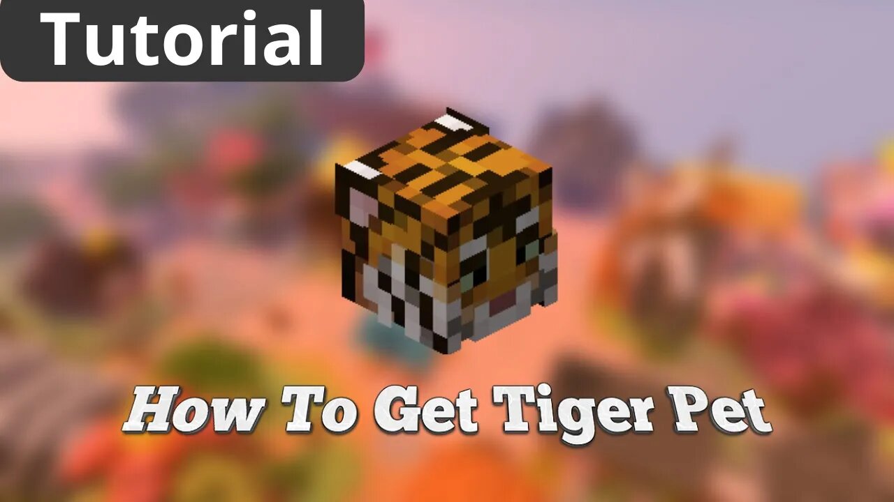 How To Get TIGER PET in Hypixel Skyblock