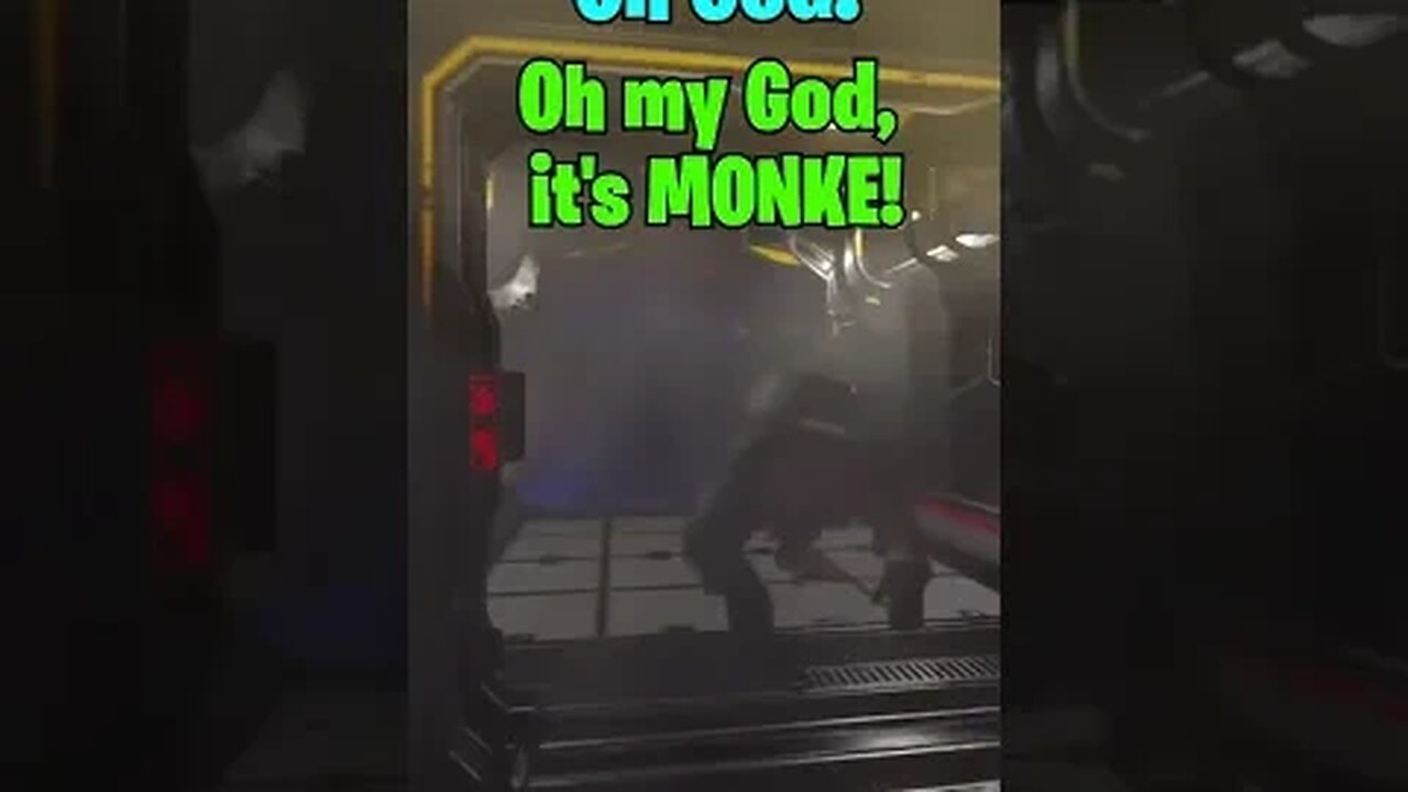 OMG It's MONKE! #shorts