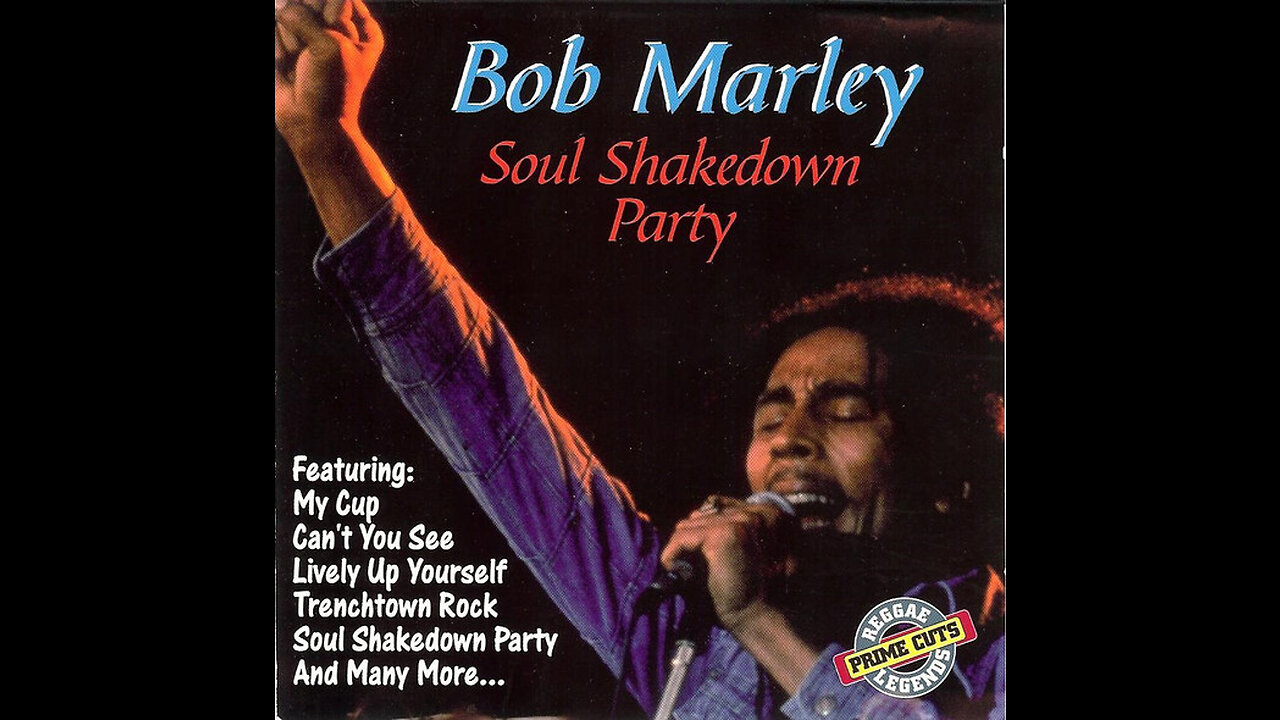 Bob Marley - Soul shakedown party