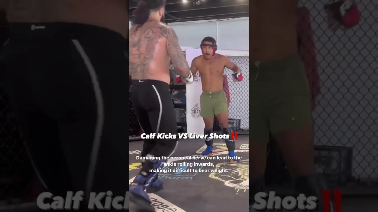 Calf Kicks VS Liver Shots via @josh mercado @cj brant @goatshed #mma #mmatraining #ufc #mi