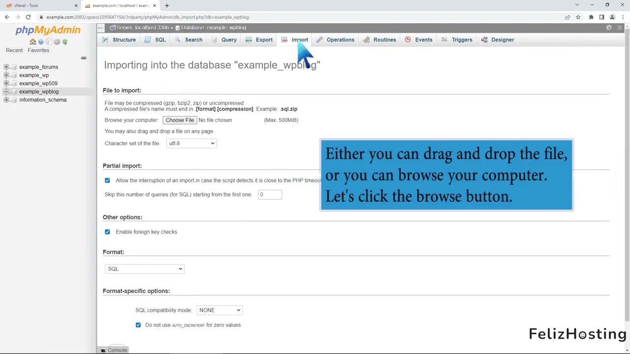 How to import database via phpMyAdmin in cPanel with FelizHosting