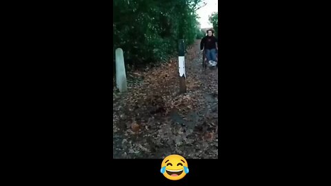 funny moments