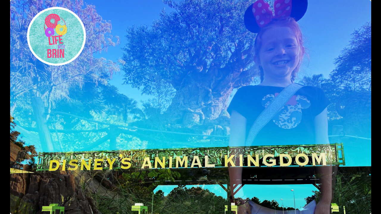 How many animals? Disney Day 2 Animal Kingdom Part 1 KILIMANJARO SAFARI Lions Zebra Elephants