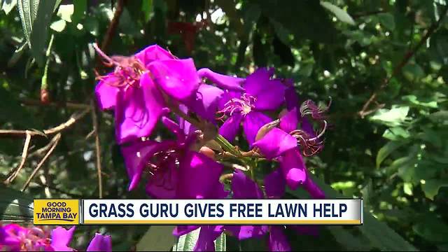 Want the best lawn on your block? Get free help from Hillsborough County's Master Gardener