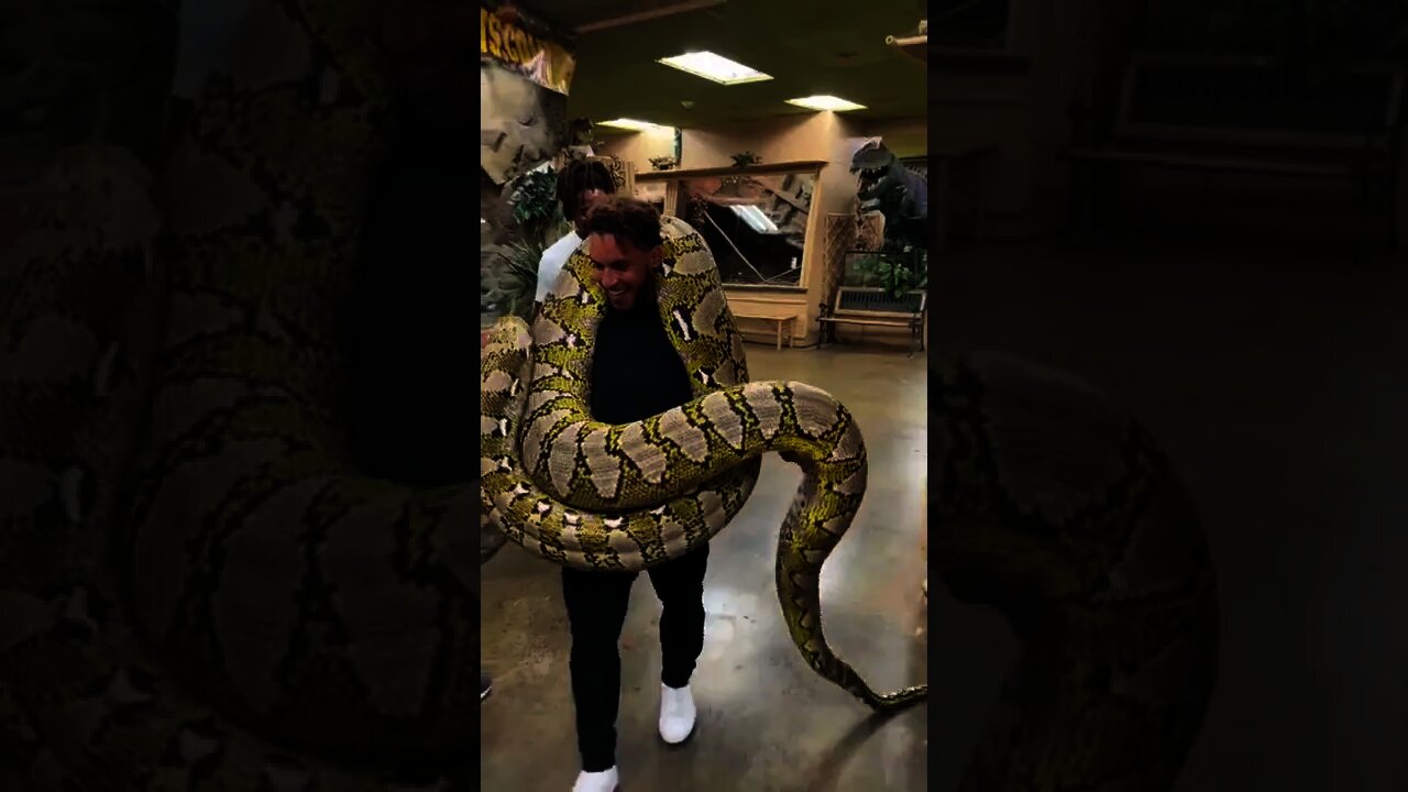 FUNNY AND CUTE ANIMALS 🐍⚕️🐍