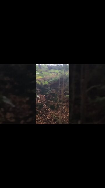 Harry Potter and Cracker actor Robbie Coltrane has died aged 72, his agent has said.