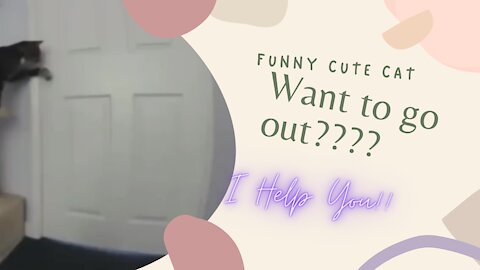 Want to go out?? I can help you!