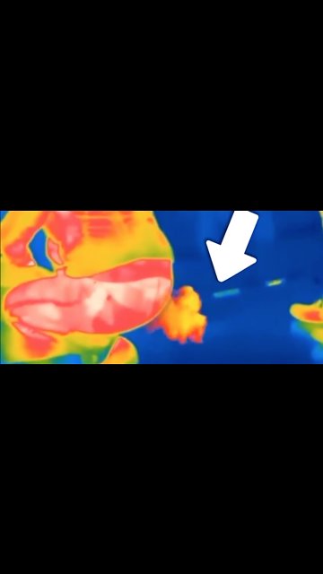 This thermal camera captured the exact moment these people farted 💨