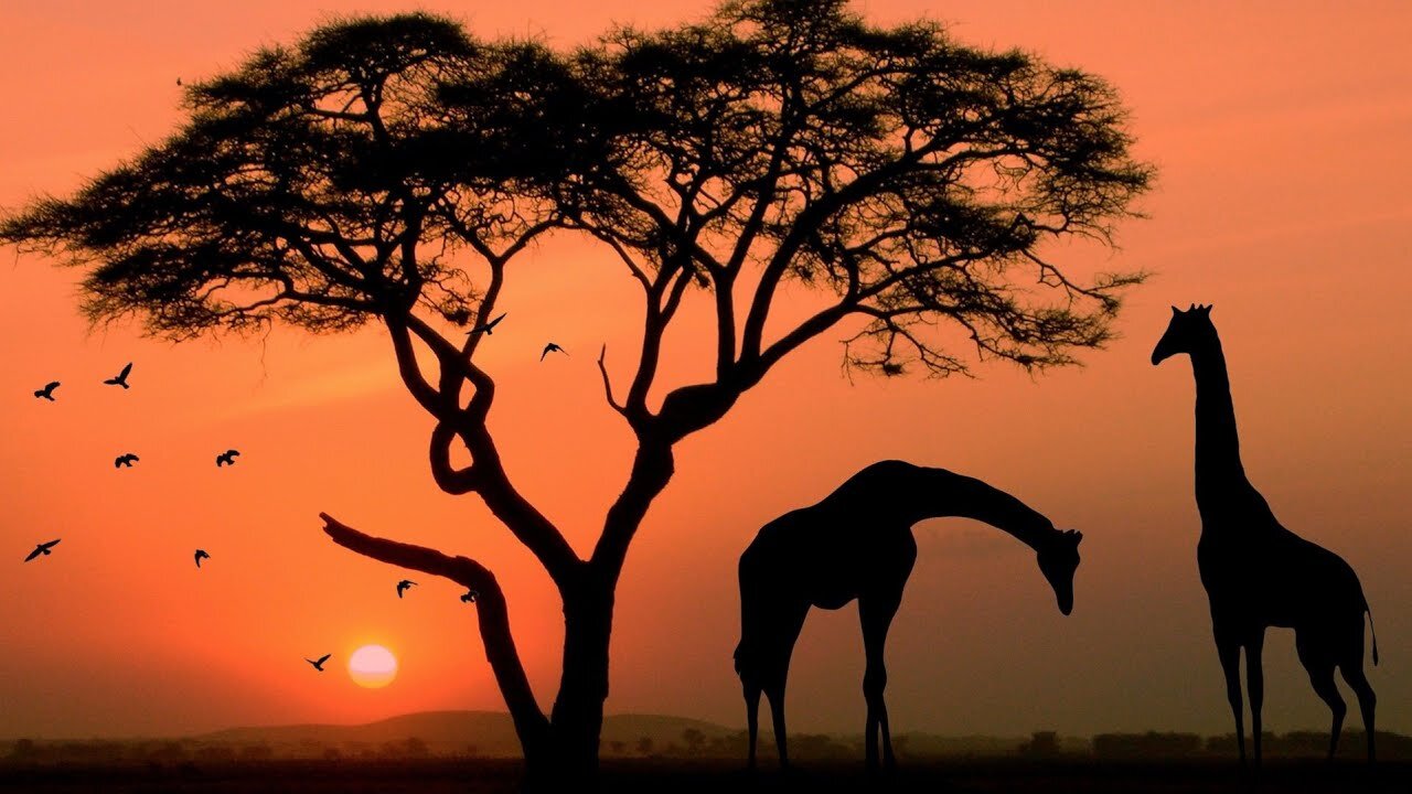 wild is life ! Most Beautiful places in the world