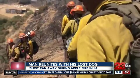 Man reunites with lost dog during Apple Fire