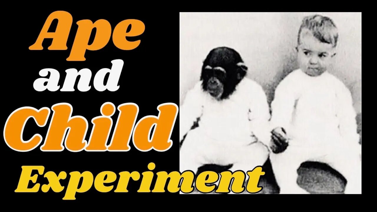 Watch The Ape and The Child Experiment with me.