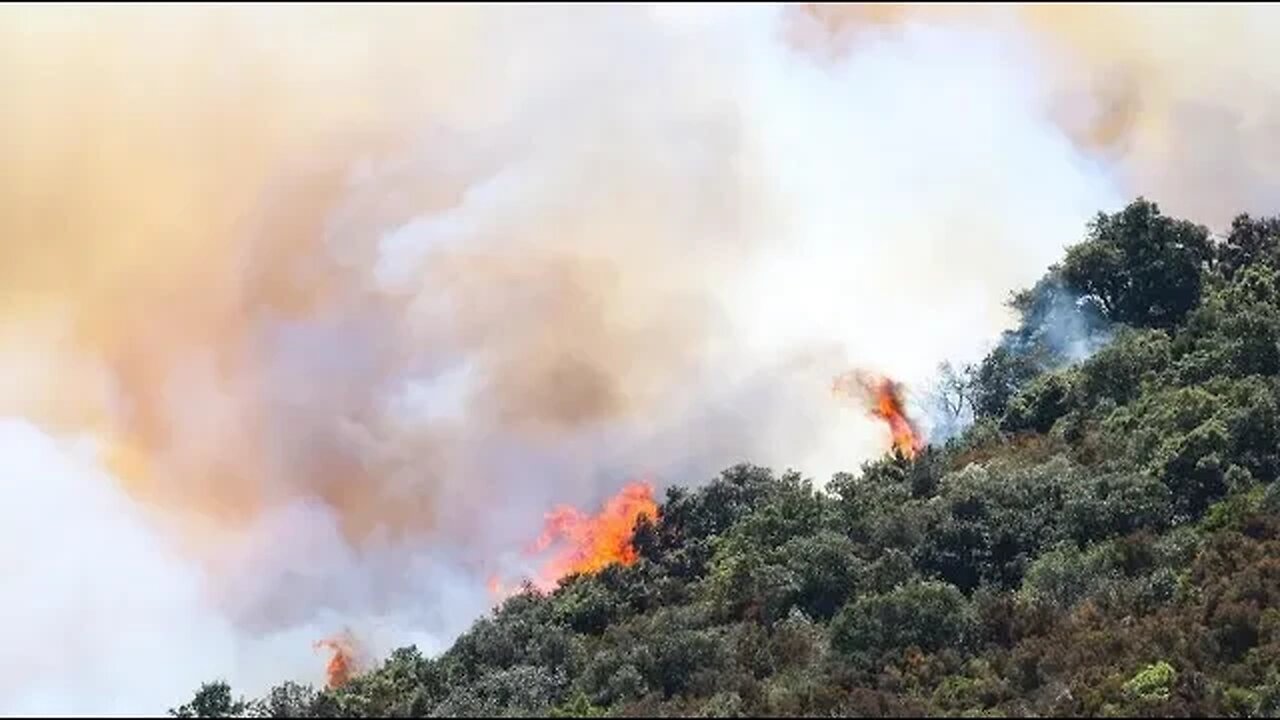 LIVE: Island of Rhodes in Greece as firefighting of wildfire outbreaks continue