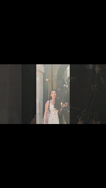 The horse does not allow you touch #horseguardsparade