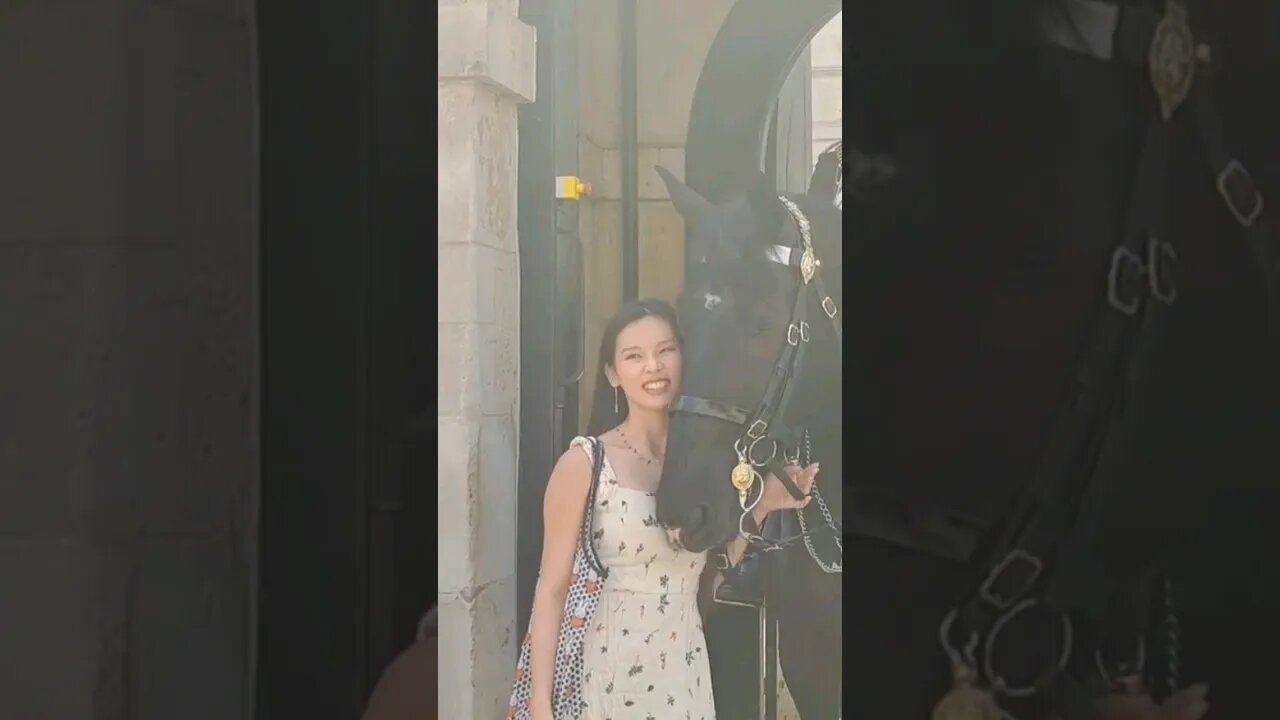 The horse does not allow you touch #horseguardsparade