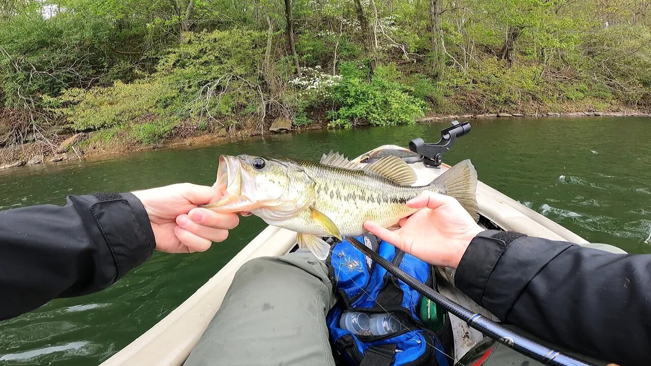 Kayak fishing farm pond in West Virginia.