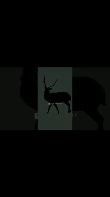 Did i even hit #callofthewild #cotw #game #mrandmrswolfgaming #shorts