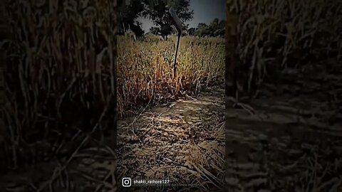 Farmers Life ☺||#farming #shorts #shortvideo