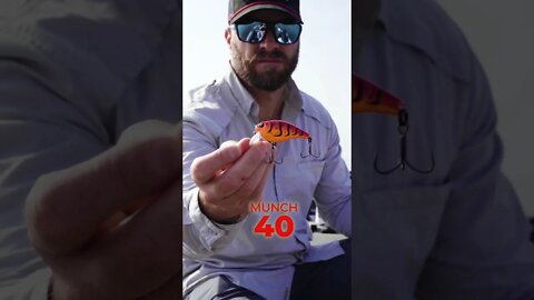 Munch 40 Squarebill Crankbait #shorts