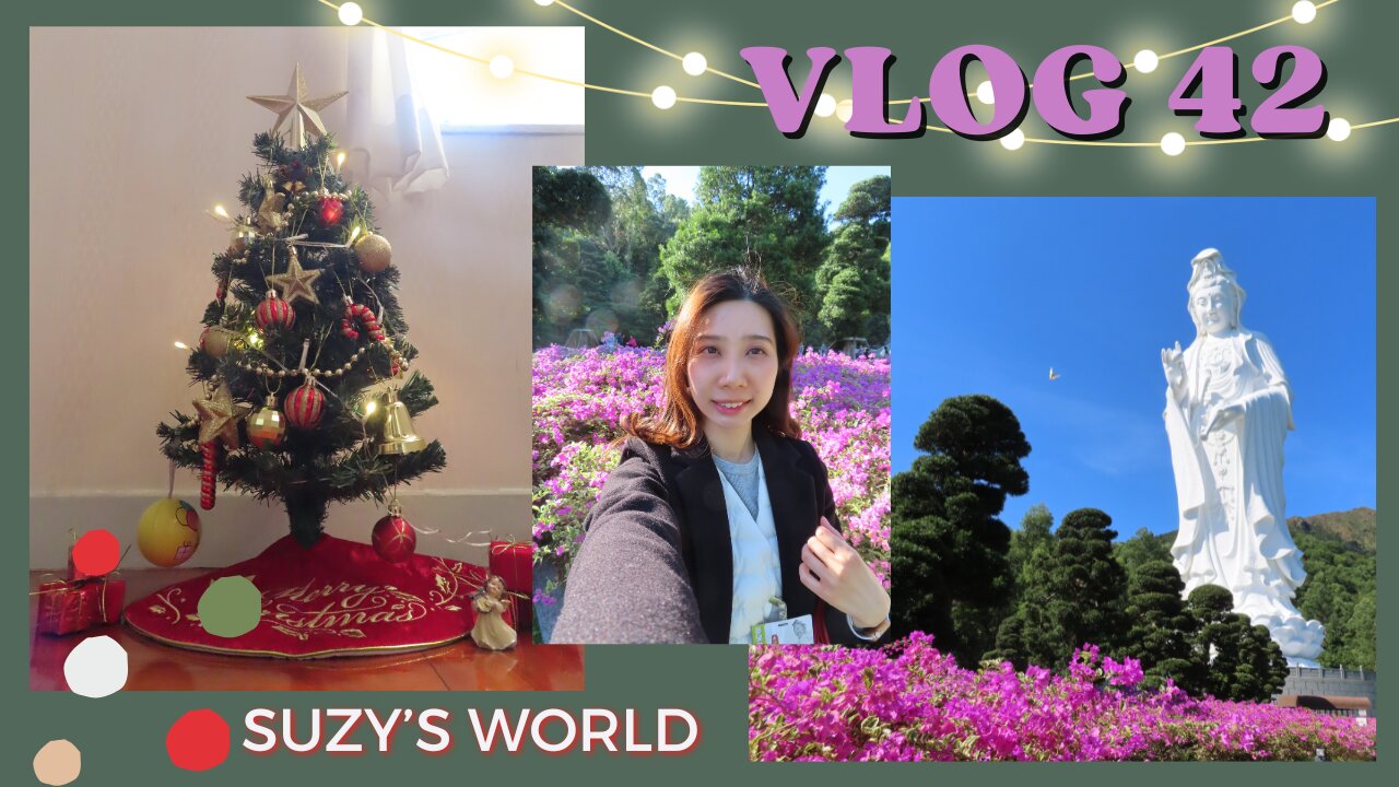 🌷Suzy's world✨Vlog42|AIA Vitality Hub-Urban Moves|Tsz Shan Monastery|Sharing what I buy in Dec