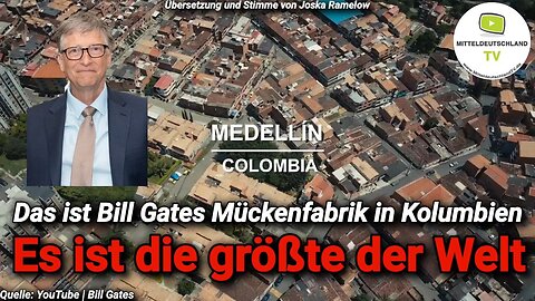 Das ist Bill Gates Mückenfabrik in Kolumbien (Es ist die größte der Welt)