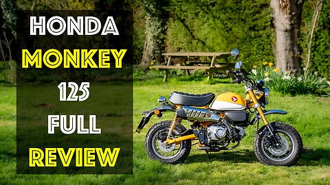 Honda MONKEY Full Review! It's a revelation! This little bike packs a big punch!
