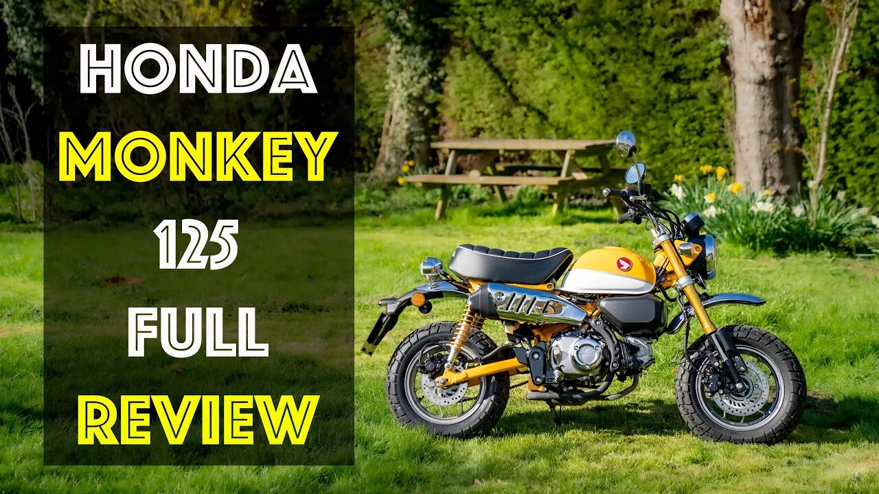 Honda MONKEY Full Review! It's a revelation! This little bike packs a big punch!