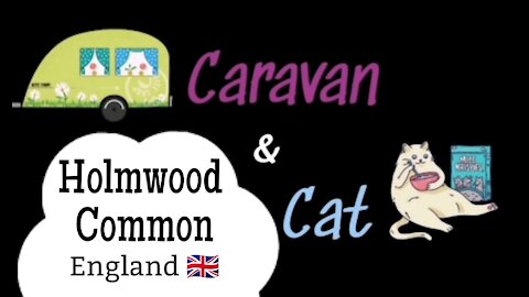 🚐CARAVAN & CAT🐱 in Holmwood Common -England
