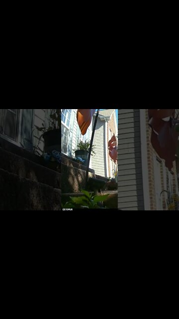 The Mice Come Out To Eat #Shorts 😎