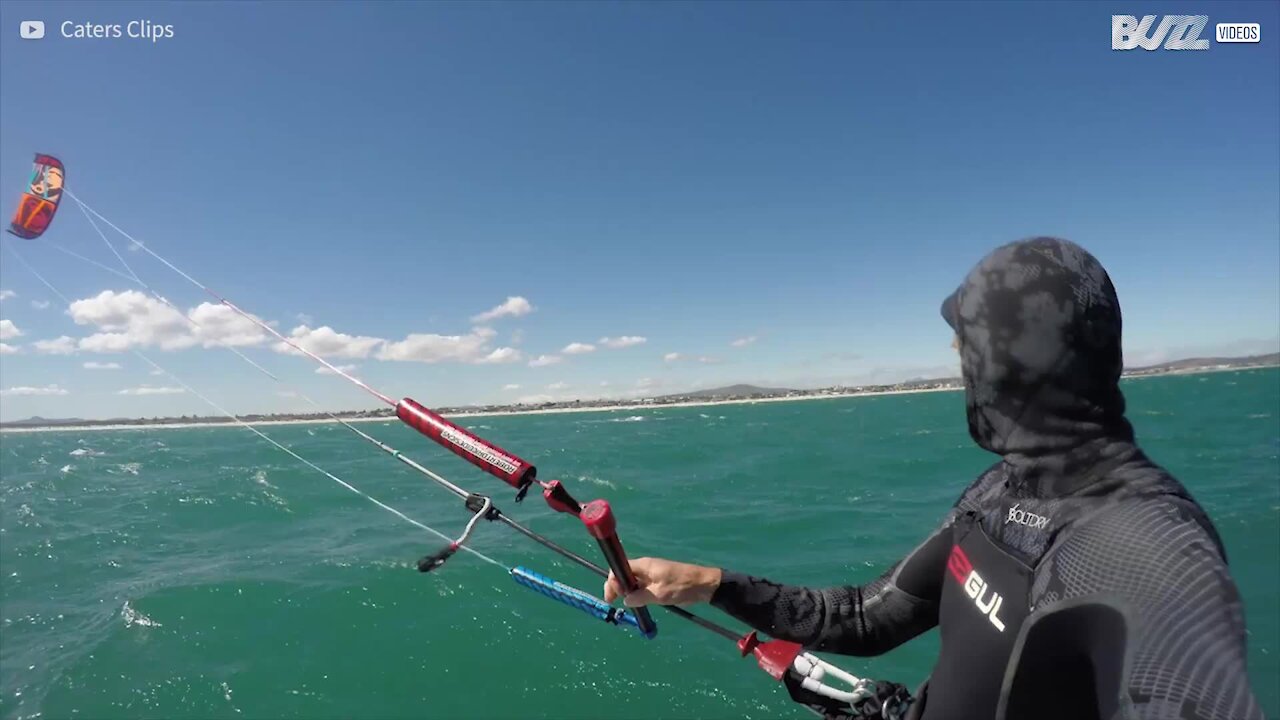 Kitesurf in mezzo alle balene